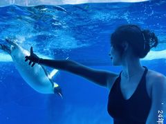 -海合安成都极地海洋公园