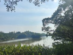 -江心屿景区