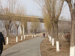 -永定河休闲森林公园