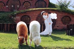 点击看大图 -太古映画婚纱摄影(天河店)