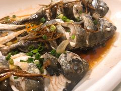 香煎泥鯭-强记海鲜·大排档(蛇口新街店)