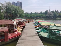 -沙市市中山公园