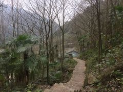 -龙窝子