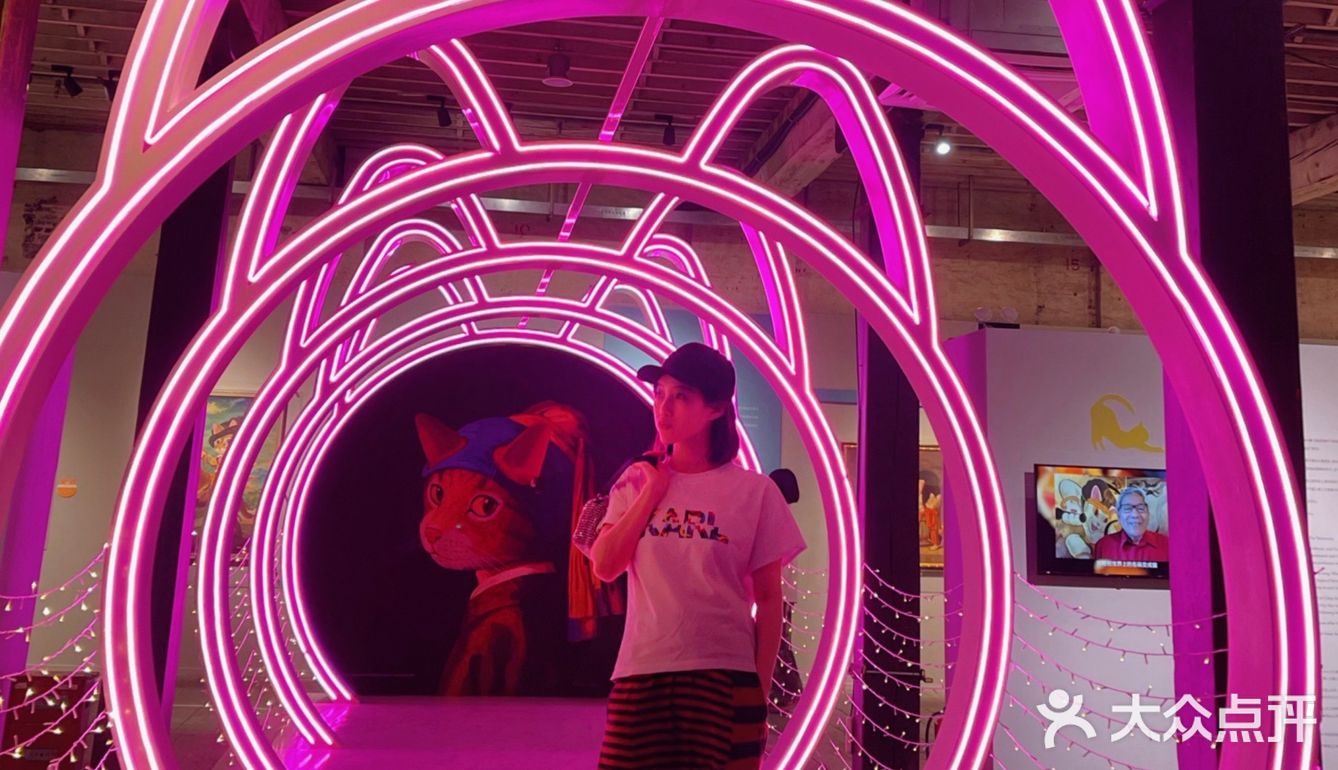 🌟魔都打卡 ｜我们一起化身猫星人🐱