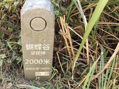 -梧桐山风景名胜区