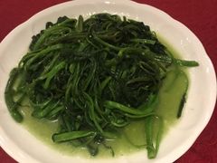 蒜蓉通心菜-蜈支洲岛珊瑚酒店临海阁中餐厅