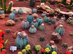 -南通洲际绿博园