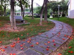 iphone_upload_pic-集美学村