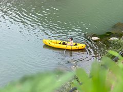 -桤木河湿地公园