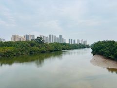 -大亚湾红树林城市湿地公园