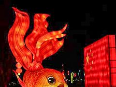 -琅岐红光湖公园