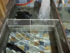 -缘福乡村铁锅炖民宿(八达岭店)