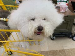 -宁波鄞州万达广场