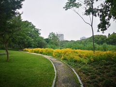 -蠡湖大桥公园