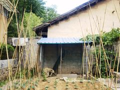 -柞水乾佑红门家菜