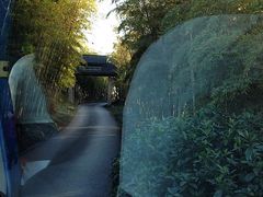 nEO_IMG_IMG_6421-苏州环秀晓筑养生度假村