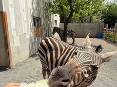 -水上乐园·欢乐世界