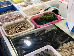 -大湾区中央湿地公园-十九涌