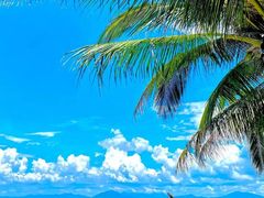 -三亚西岛海洋文化旅游区