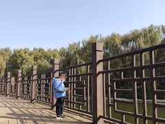 -西安汉城湖景区