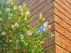 -星巴克(天津五大道店)