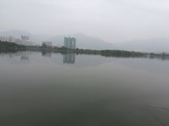 -飞来湖湿地公园