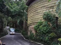 -海南槟榔谷黎苗文化旅游区