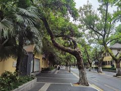 -颐和路民国时期公馆风貌区