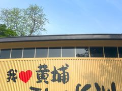 -长洲岛