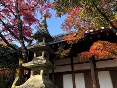 -常寂光寺