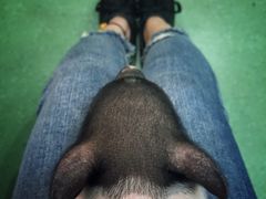-藦茜花园宠物主题亲子互动体验馆(国顺东路店)
