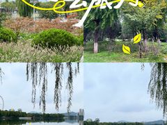 -济南国际园博园