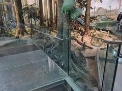 -浙江自然博物院(杭州馆)
