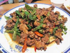 -食鸡公社辣子鸡·潍坊菜·烧烤