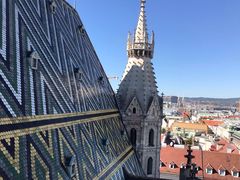 -斯蒂芬主教座堂(Stephansdom)