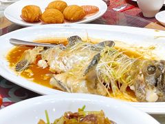 老虎斑-凤凰楼酒家·粤宴点心(华强北店)