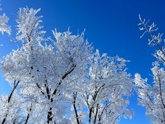 -中旅松花湖滑雪场