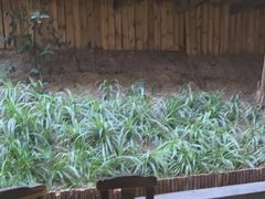 -天怡·鱼工厂(梅溪湖店)