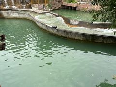 -成都欢乐谷