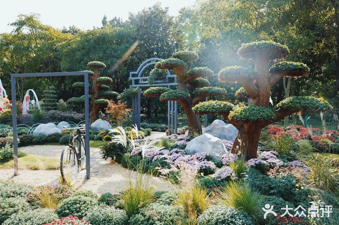 婀娜多姿  争奇斗艳  2021共青菊花展