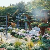 婀娜多姿  争奇斗艳  2021共青菊花展