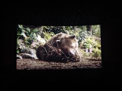 -幸福蓝海和乐影院(吴江吾悦广场店)