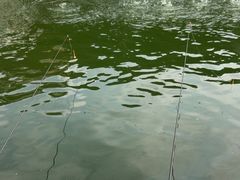 -DGE季风钓虾营地·团建·聚会