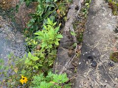 -丹东天桥沟景区