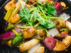 -广宁炭炉鸡煲·富临门饭店