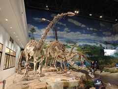 -自贡恐龙博物馆