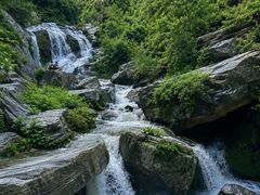 -绿堤公园