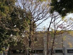 -more than meow吴止猫主题餐厅(承德 中船汇店)