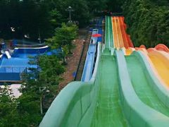 -重庆海昌加勒比海水世界