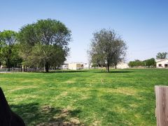 -北京群众马术培训基地